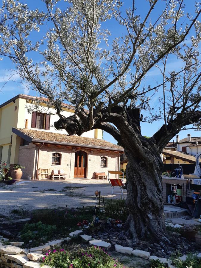Il Focolare B&B Casa Ottani Exterior photo